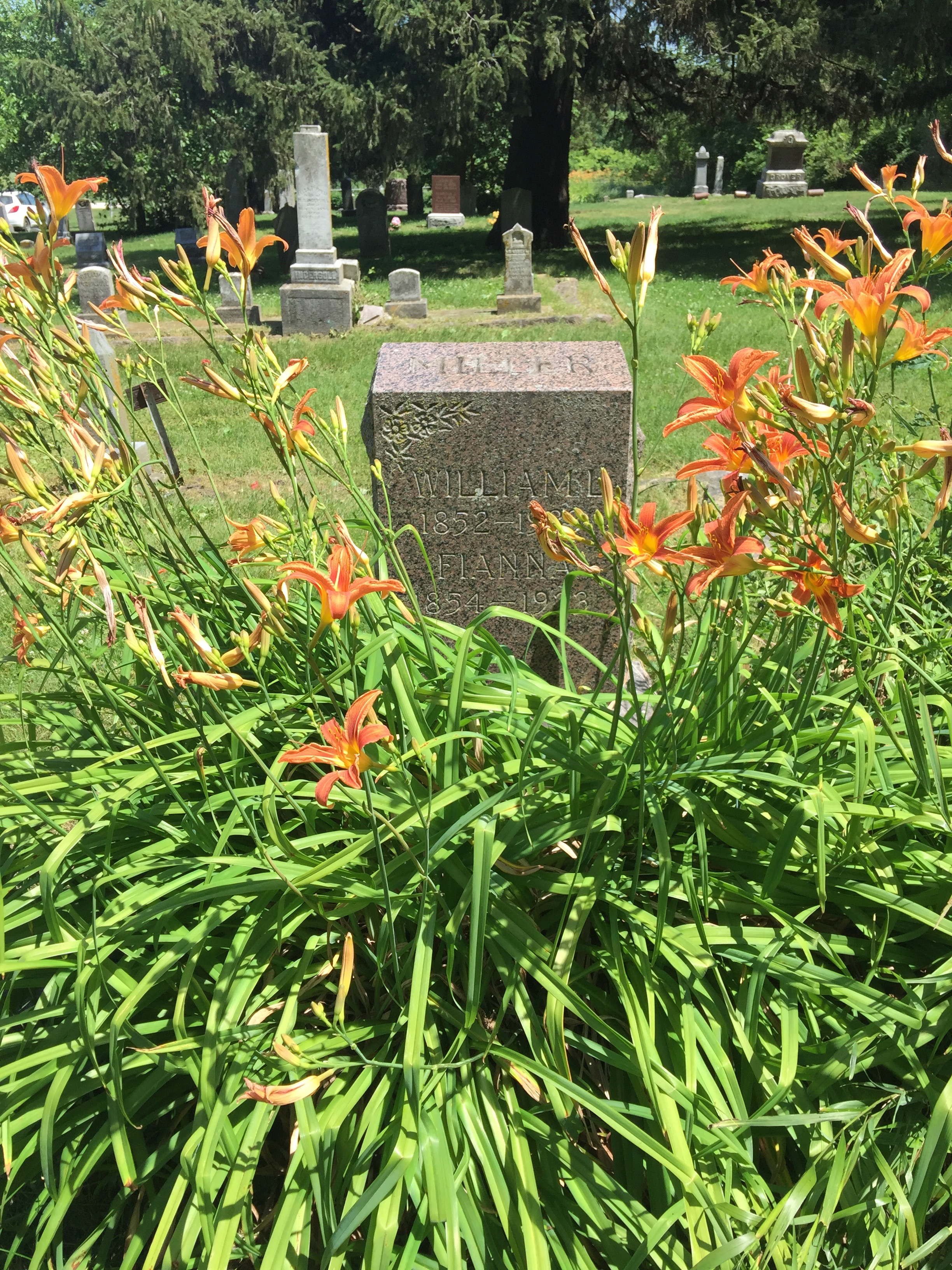 Headstone Miller, William and Fiana Druckenbrod