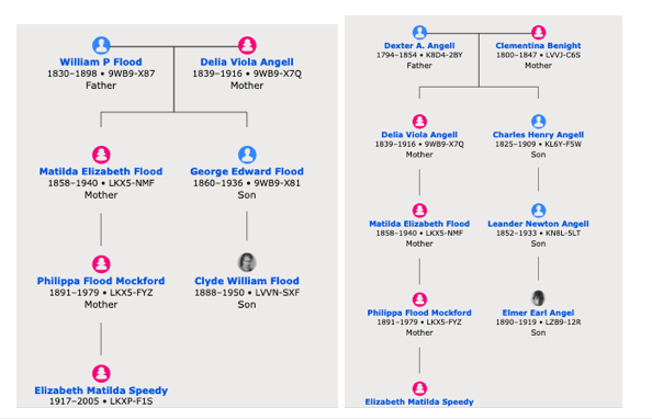 Snapshots of Clyde and cousins